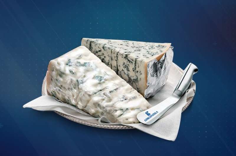 gorgonzola 11