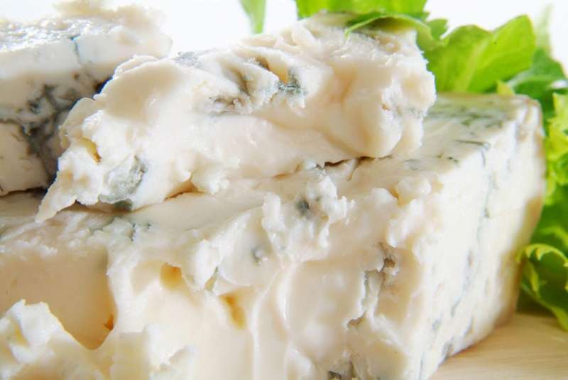 gorgonzola 13