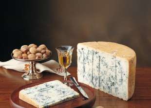 gorgonzola 14