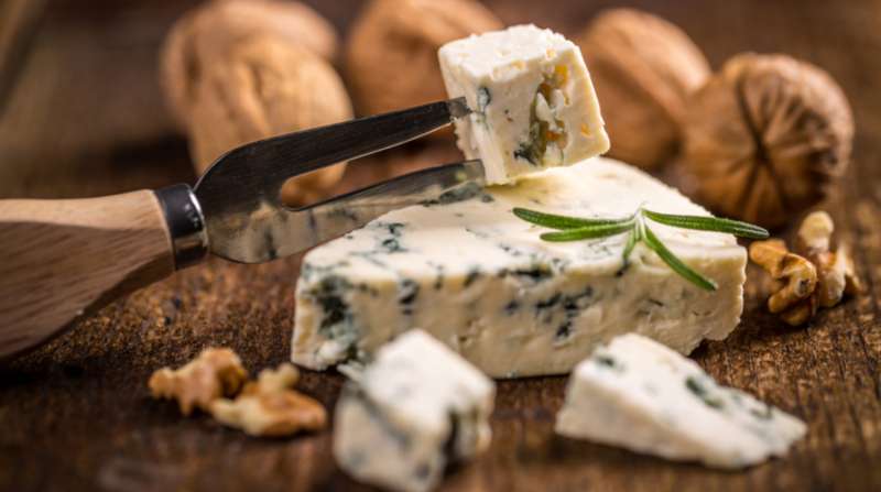 gorgonzola 3