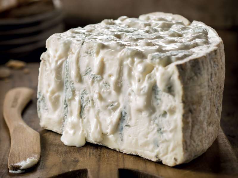 gorgonzola 4