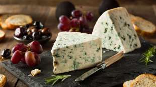 gorgonzola 9