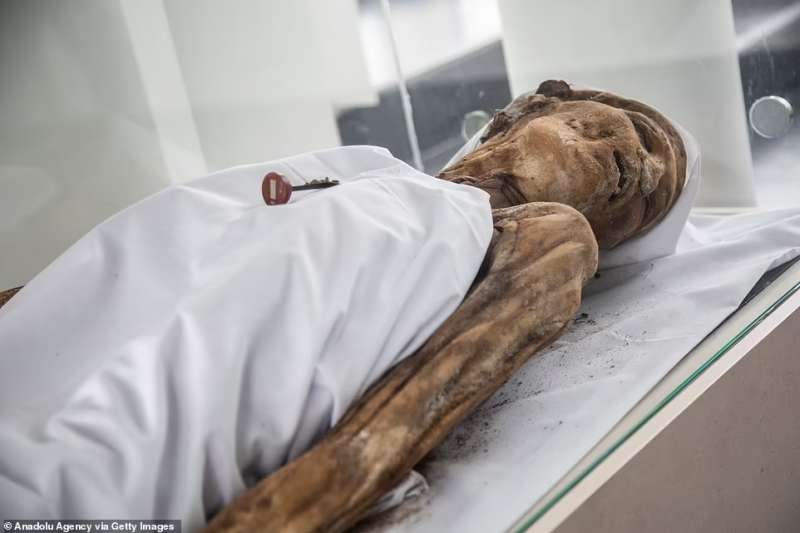 le mummie naturali di san bernardo 13