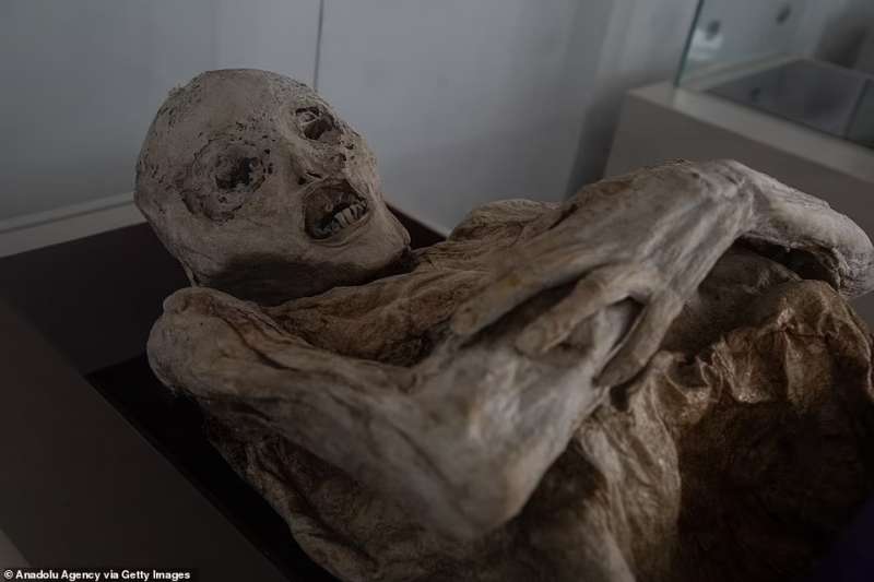 le mummie naturali di san bernardo