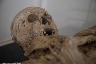 le mummie naturali di san bernardo 5