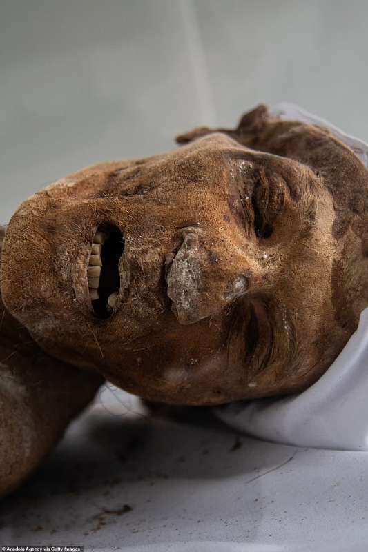 le mummie naturali di san bernardo 6