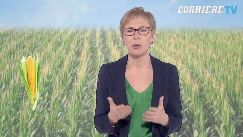 milena gabanelli sulla crisi del grano 3