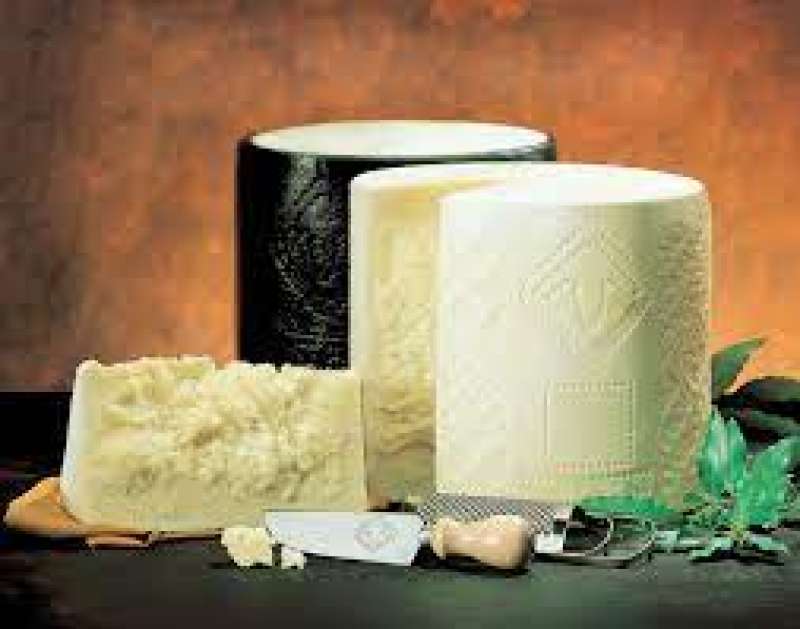 pecorino romano 1