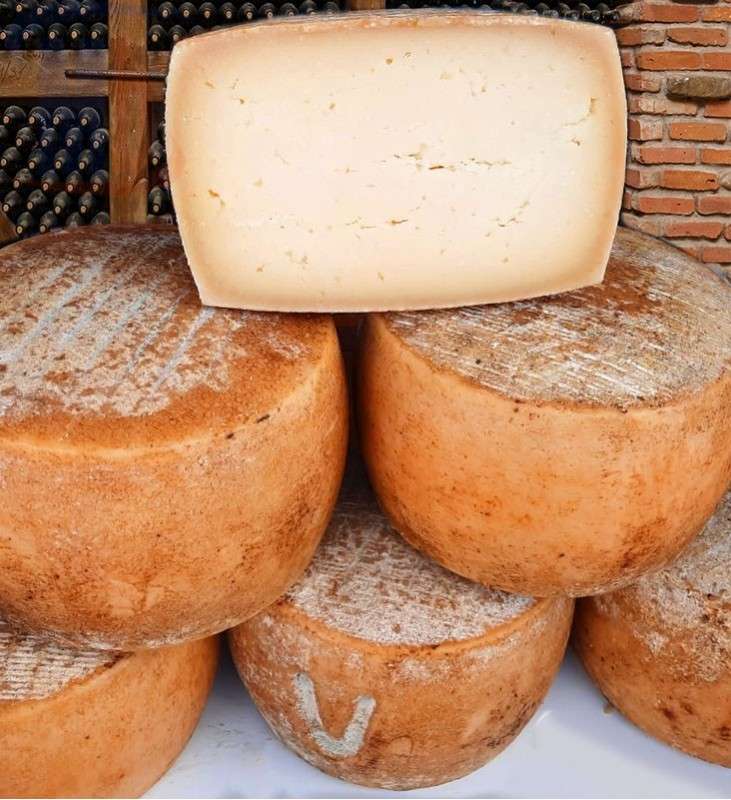 pecorino sardo 1