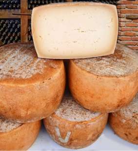 pecorino sardo 1