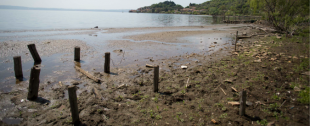 siccita lago di bracciano 7