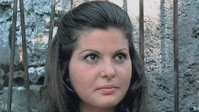 simonetta stefanelli