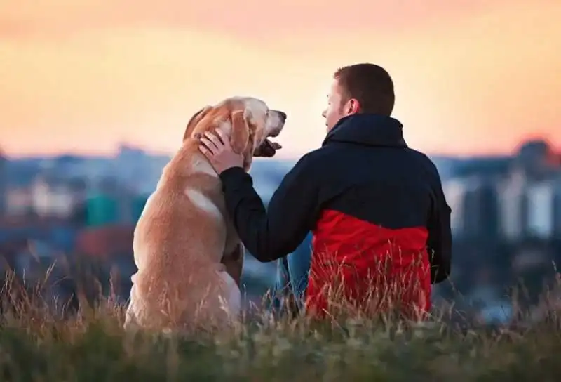 cane e padrone 