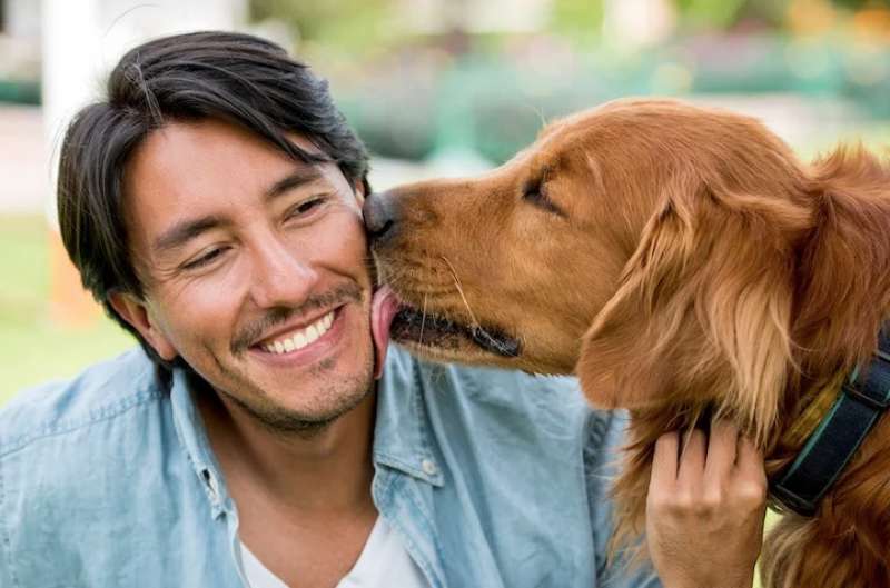 cane e padrone