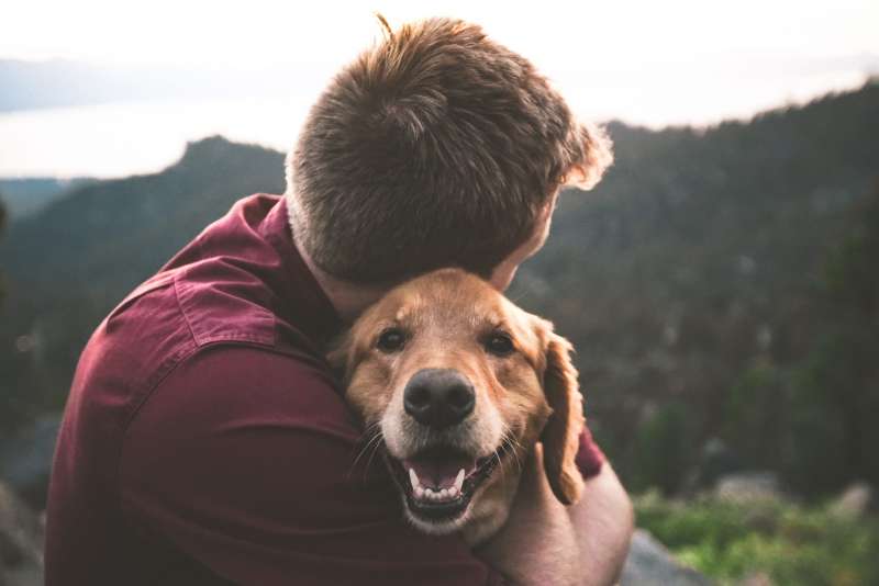 cane e padrone