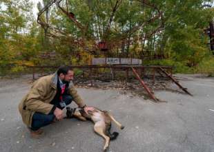 cani a chernobyl 8