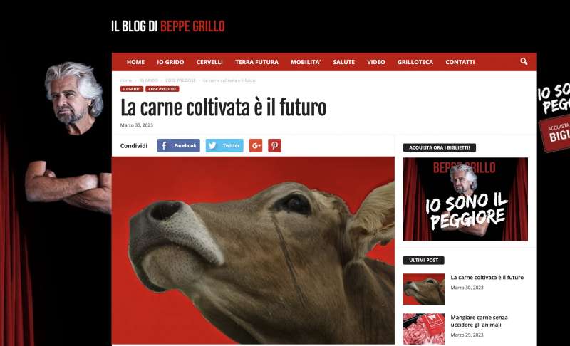 Il Post Sul Blog Di Beppe Grillo Sulla Carne Sintetica Dago Fotogallery 8421