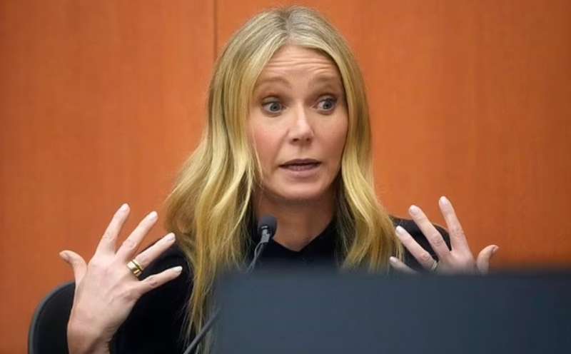 il processo a gwyneth paltrow 8