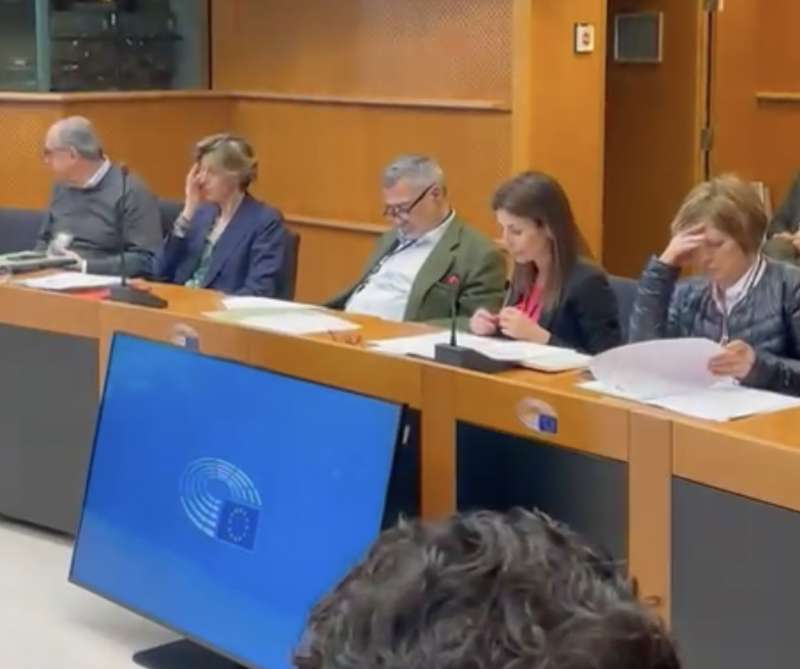 l eurodeputato fdi piero fiocchi si addormenta mentre parla alessandra moretti a bruxelles 2