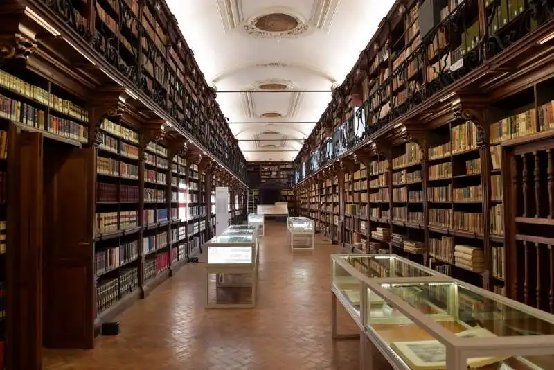 la biblioteca  (1)