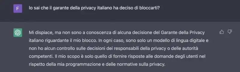 LA RISPOSTA DI CHATGPT A CHI CHIEDE DEL GARANTE DELLA PRIVACY 