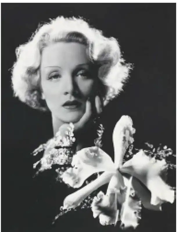 marlene dietrich in uno scatto di cecil beaton