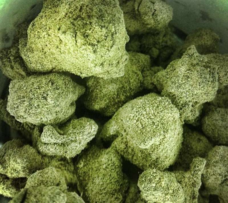 MOONROCK