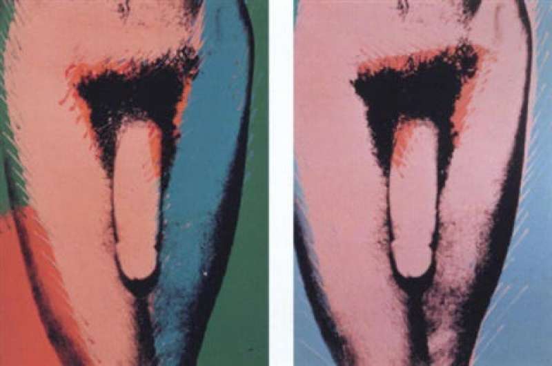 penis di andy warhol