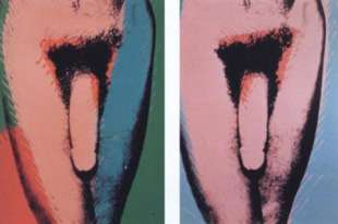 penis di andy warhol