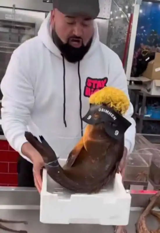 pesce osimhen in una pescheria di napoli   2