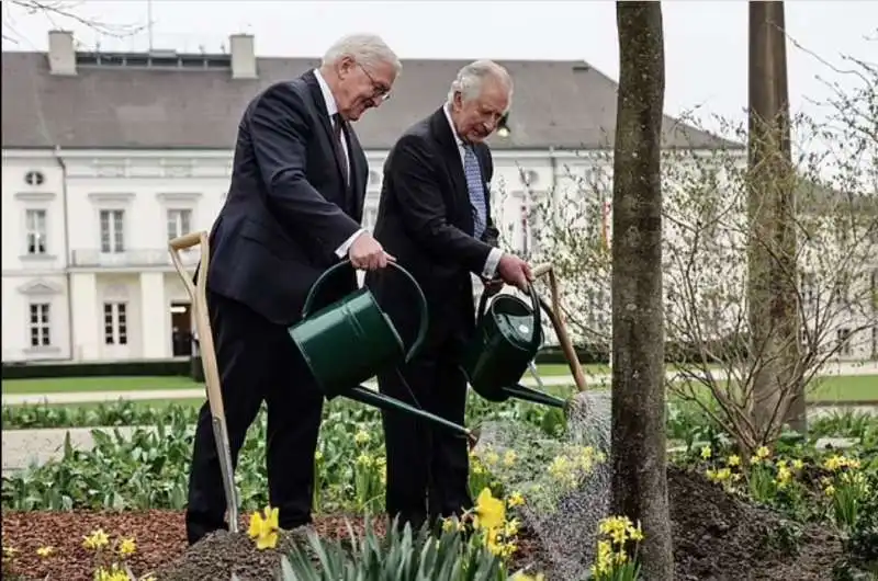 presidente tedesco frank walter steinmeier  1