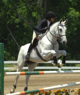 ragazza con i capelli afro a cavallo 2