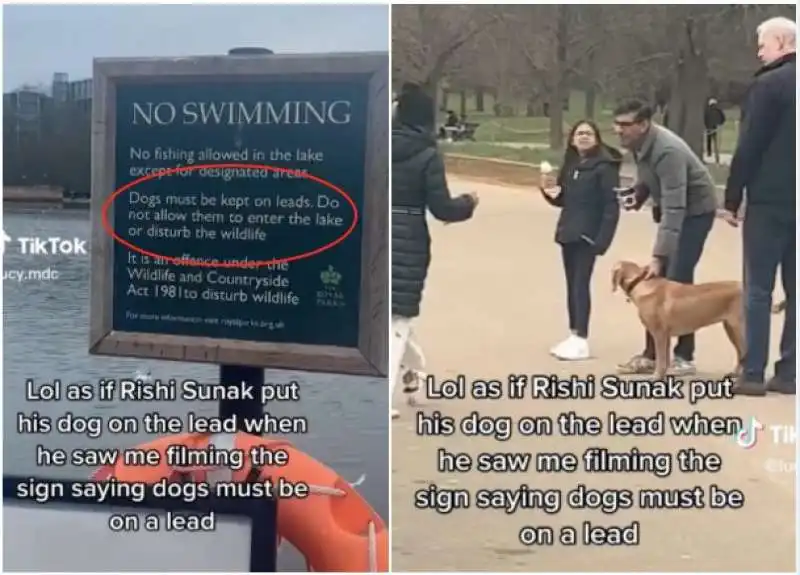 rishi sunak lascia il cane libero a hyde park 1