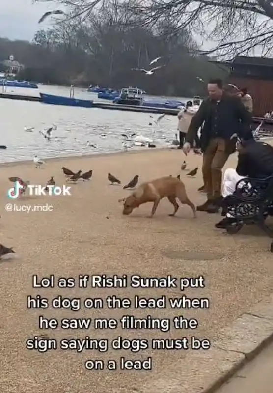 rishi sunak lascia il cane libero a hyde park 4