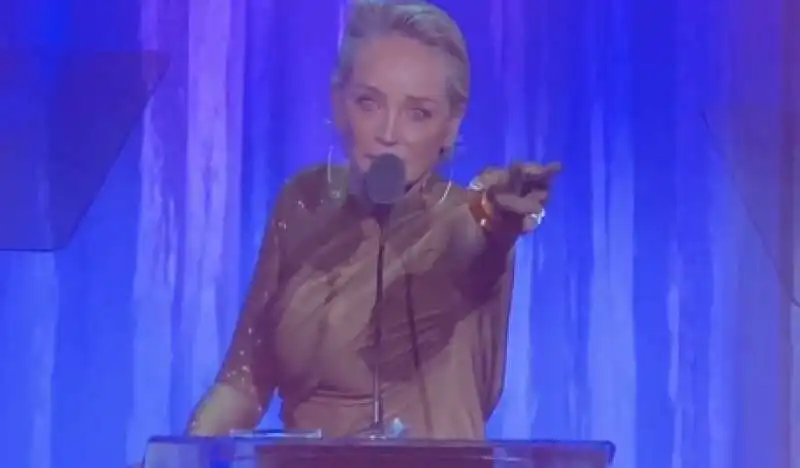 sharon stone al gala di beneficenza 'an unforgettable evening'    4