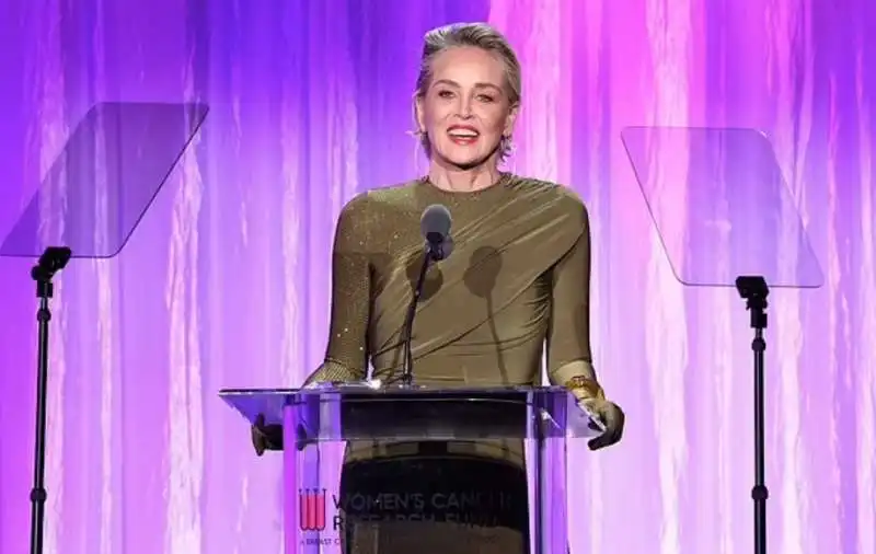 sharon stone al gala di beneficenza 'an unforgettable evening'    6