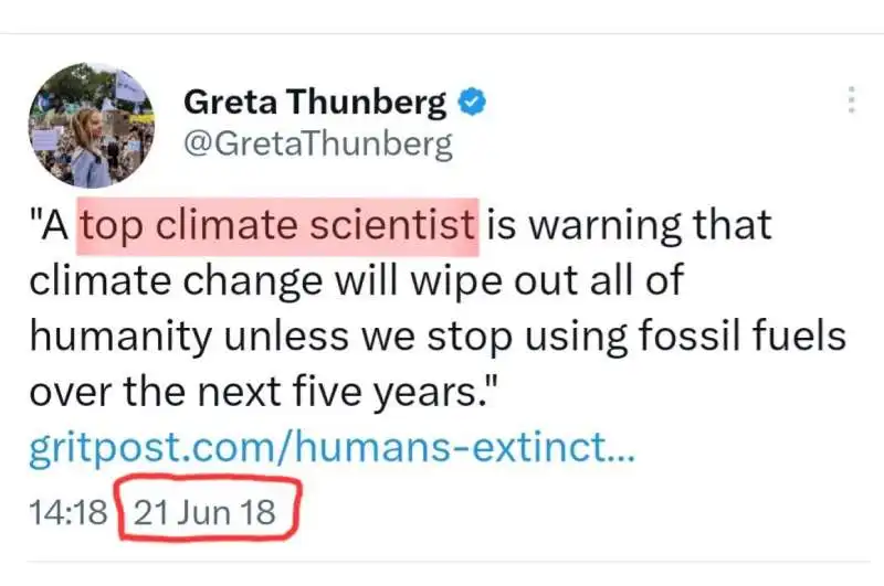 tweet cancellato da greta thunberg 