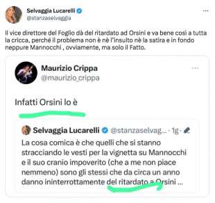 tweet di selvaggia lucarelli sul caso della vignetta su francesca mannocchi 1