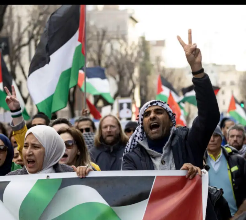 corteo pro palestina a roma