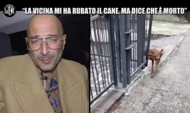 le iene e la storia del cane gustavo 5