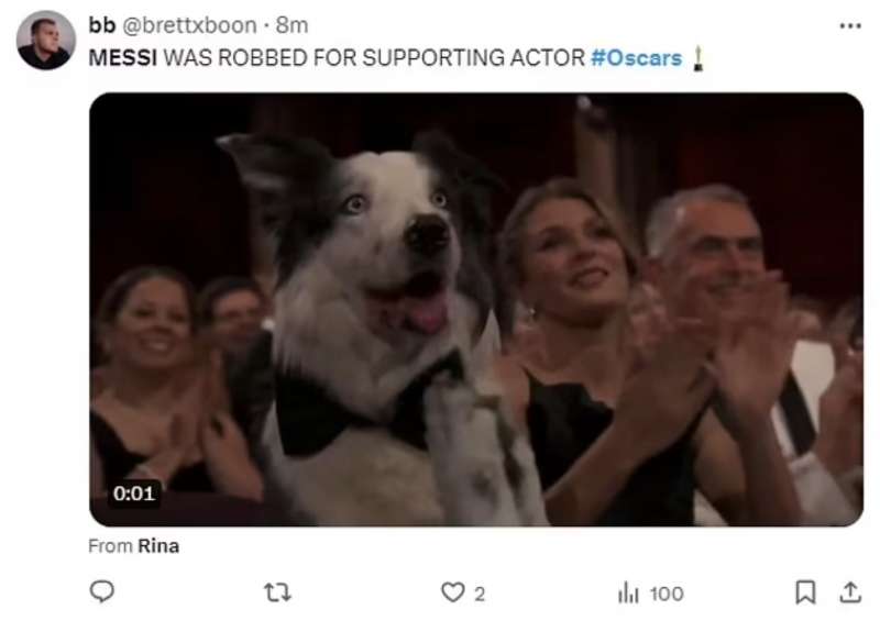 messi il cane di anatomia di una caduta alla cerimonia degli oscar 4