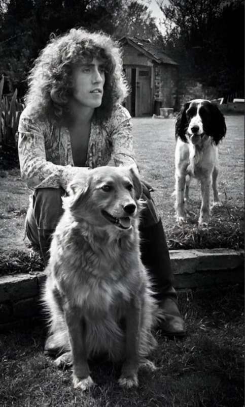 roger daltrey 22