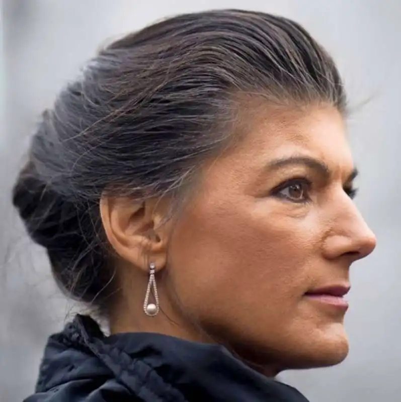 sahra wagenknecht  7