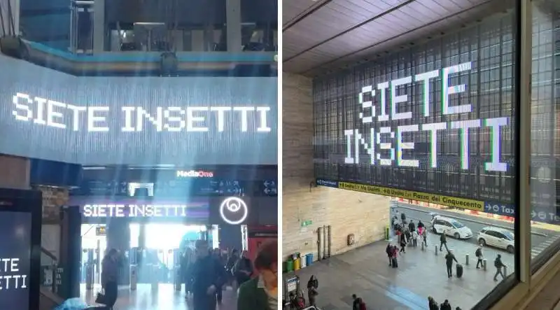 scritte siete insetti sugli schermi di termini

