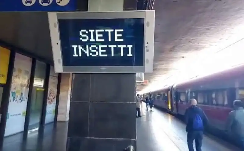 scritte siete insetti sugli schermi di termini 