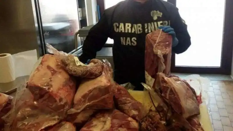 topi insetti e cibo scaduto in cinque ristoranti di bologna 3