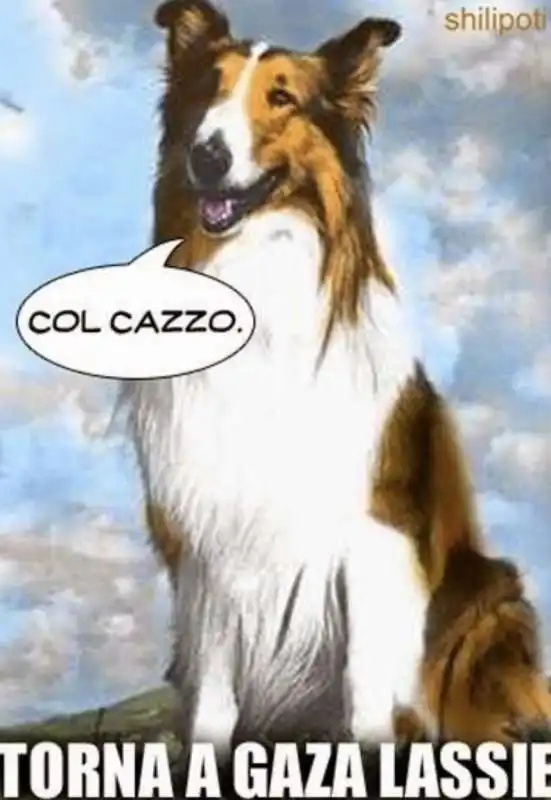 TORNA A GAZA LASSIE - MEME BY SHILIPOTI 