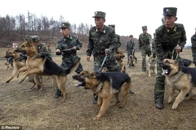 CANI ADDESTRATI IN NORD COREA 