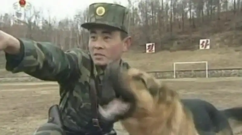 CANI ADDESTRATI IN NORD COREA 