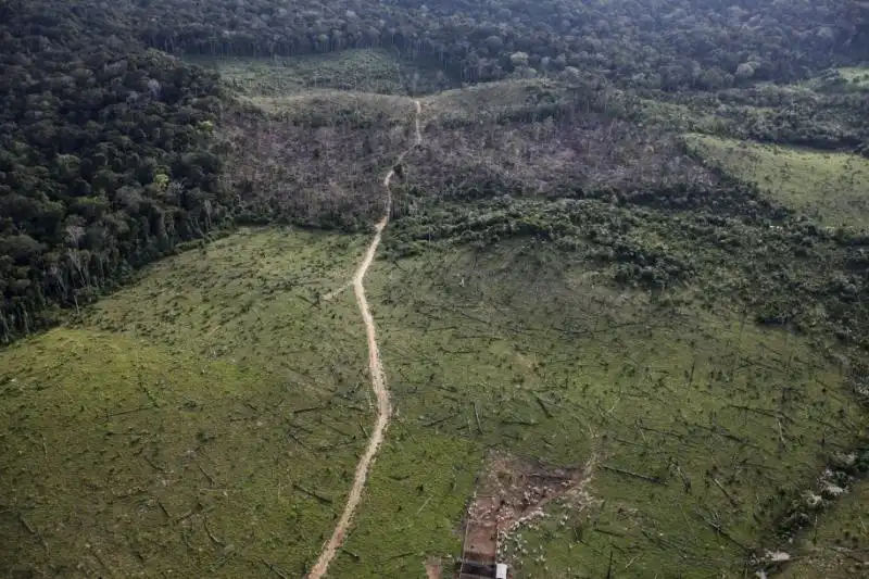 DEFORESTAZIONE IN AMAZZONIA 